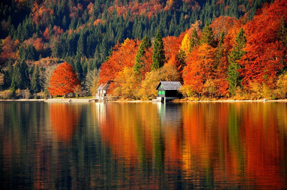 Lake Bohinj (Credit: www.slovenia.info, Author: Dunja Wedam)