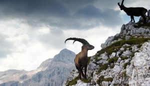 Taking to the Slovenian Skies...