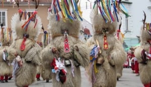 Slovenian Sheep; Credits Slovenian-Alps.com