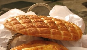 Jellyfish; Picture Credits: www.takepart.com