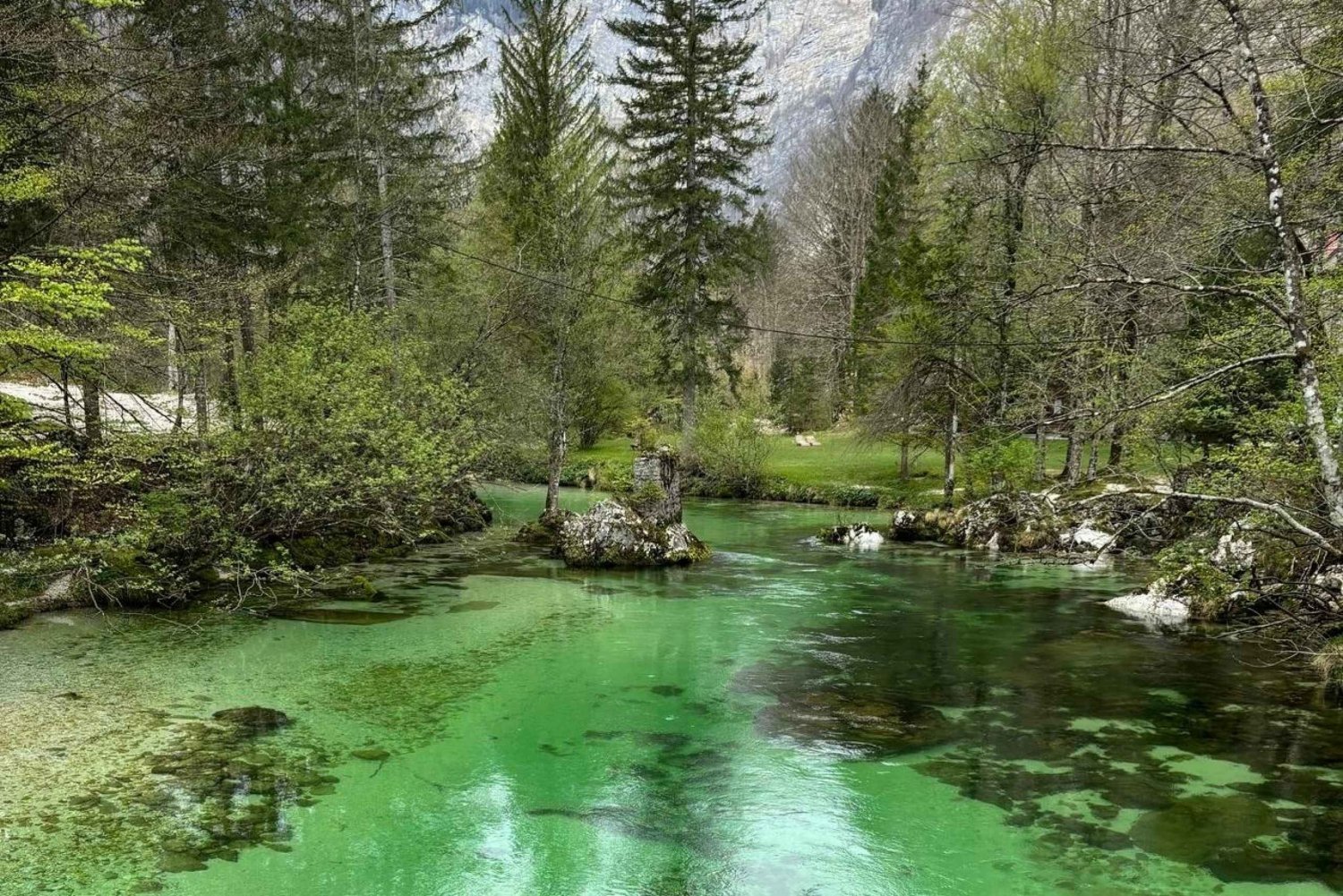 En dagstur fra Ljubljana: Magisk natur og Bohinj-søen