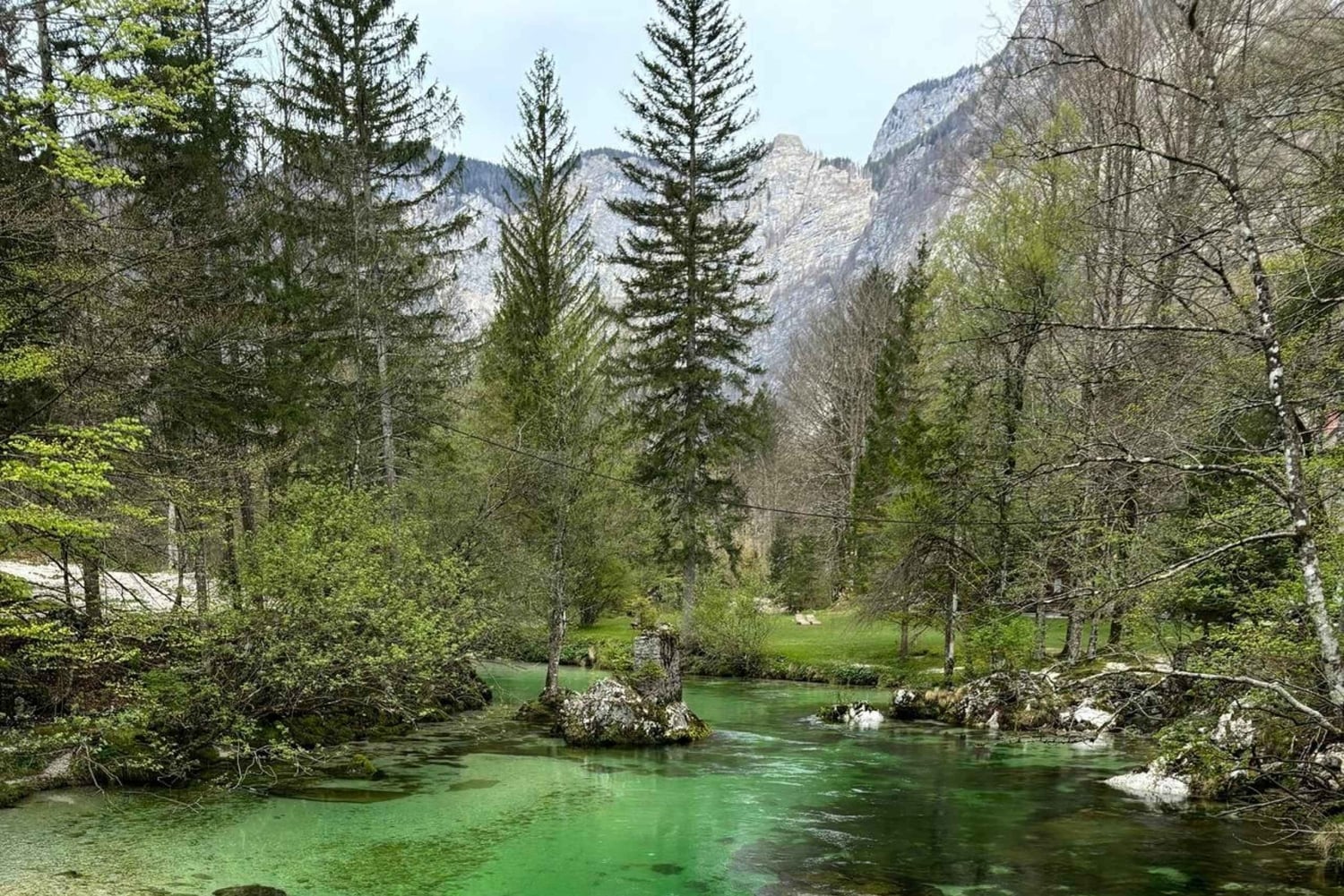 Eine Tagestour von Ljubljana aus: Magische Natur und der Bohinjer See