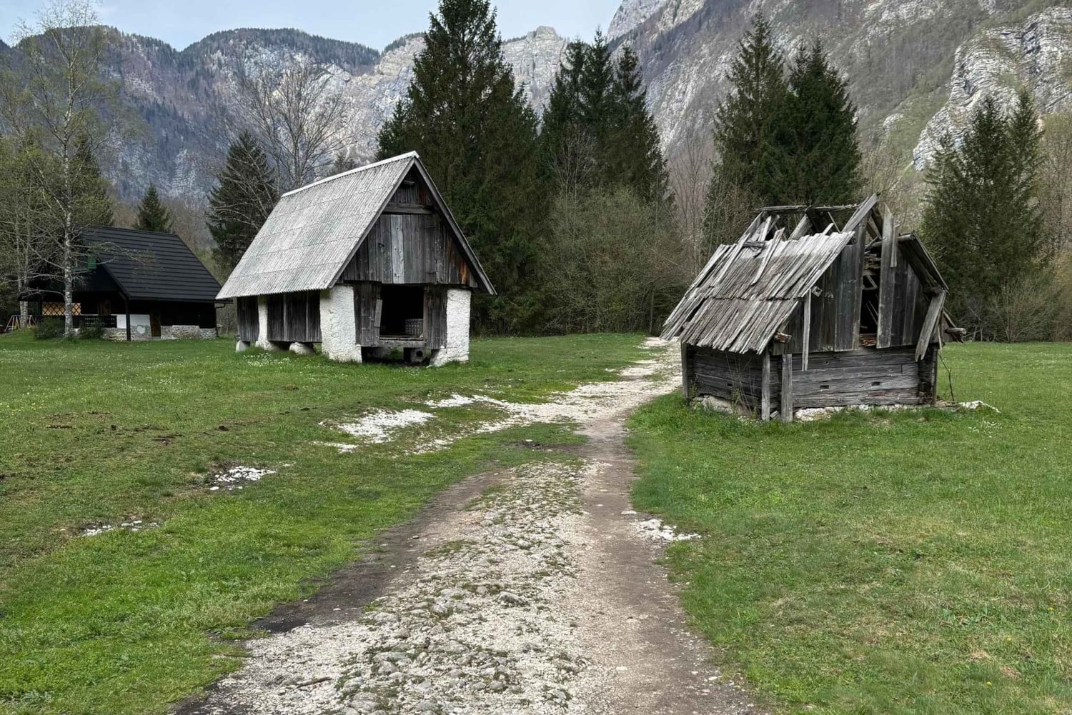 Eine Tagestour von Ljubljana aus: Magische Natur und der Bohinjer See
