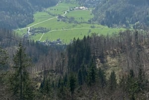 Eine Tagestour von Ljubljana aus: Magische Natur und der Bohinjer See