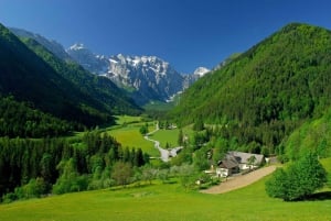 Authentic Slovenia: A Mystery Travel Day Tour