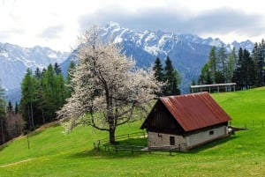 Authentic Slovenia: A Mystery Travel Day Tour