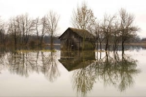 Authentic Slovenia: A Mystery Travel Day Tour