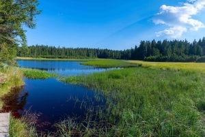 Aito Slovenia: Mystery Travel -päiväretki