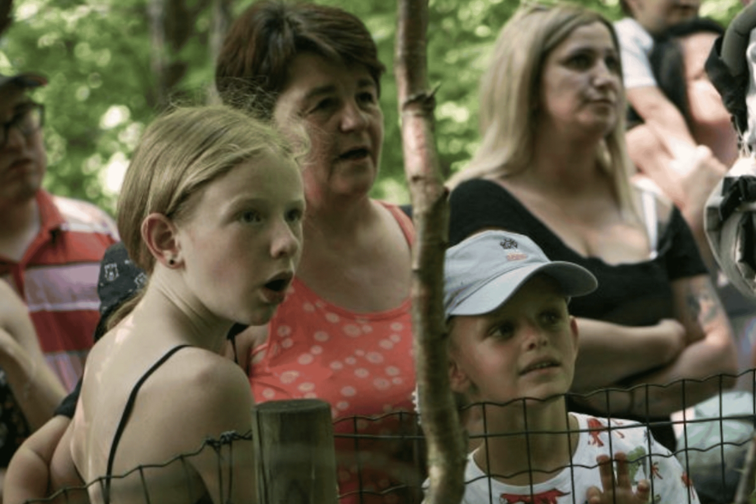 Bad Gleichenberg: Entrébillet til Styrassic Park