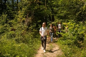 BEER WAY Kamnik: Alpine Outdoors & Beer Tasting Tour