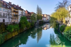 Le meilleur de Ljubljana : Visite privée avec un guide né à Ljubljana