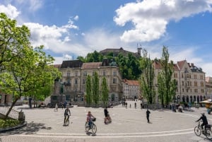 Ljubljanan parhaat puolet: Ljubljanan syntynyt opas
