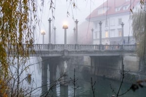 Det beste av Ljubljana: Privat omvisning med Ljubljana-født guide