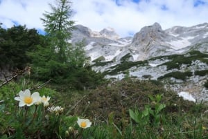 Bled: 2-Day Triglav Mountain Summit Hike