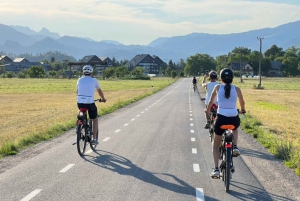 Bled: e-Bike Rental