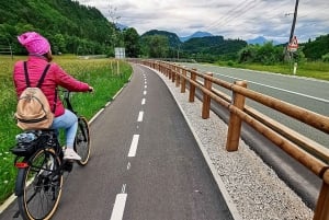Bled: e-Bike Rental
