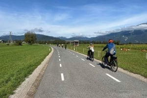 Bled: e-Bike Rental