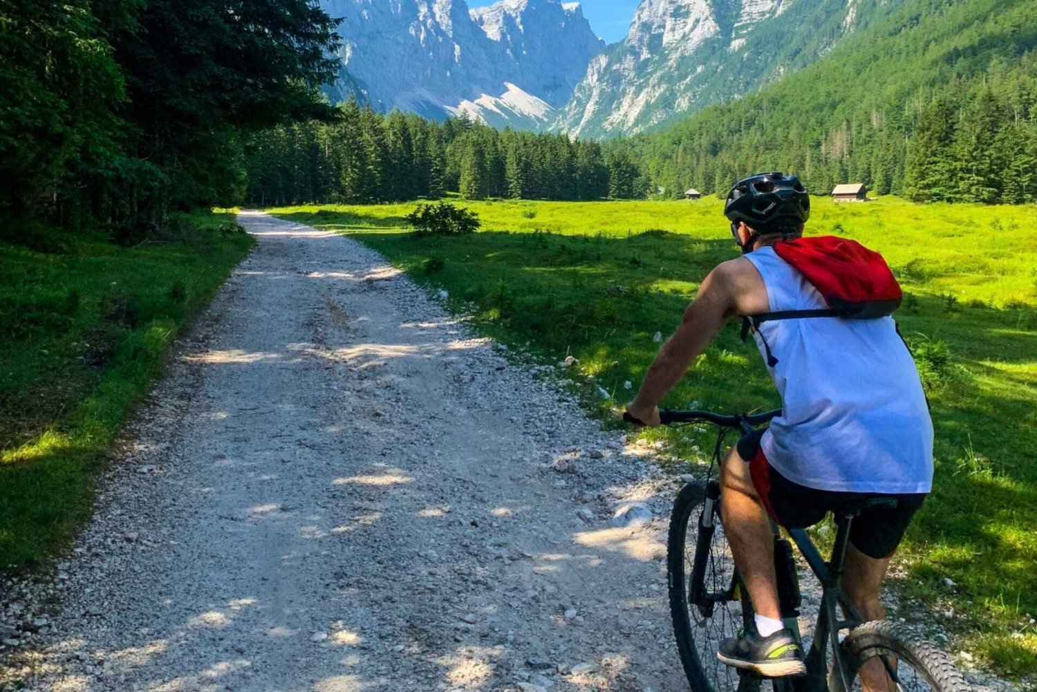 Bled: Tour privato in bicicletta del Lago di Bled e del Parco Nazionale del Triglav