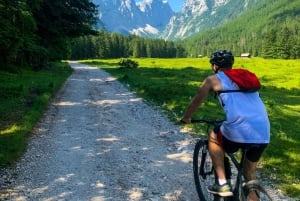 Bled: EBike Tour Lake Bled & Triglav National Park Private