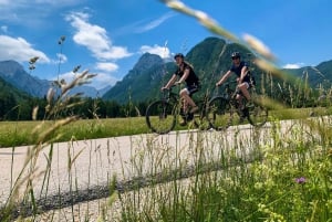Bled: EBike Tour Bleder See & Triglav National Park Privat