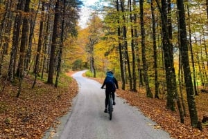 Блед: тур на велосипеде по озеру Блед и частному национальному парку Триглав