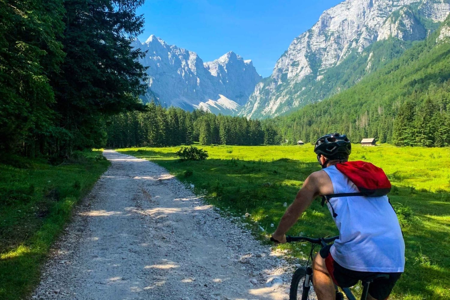 Bled: Tour privato in bicicletta del Lago di Bled e del Parco Nazionale del Triglav
