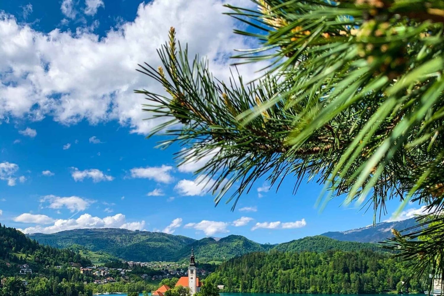 Bled: Tour privato in bicicletta del Lago di Bled e del Parco Nazionale del Triglav