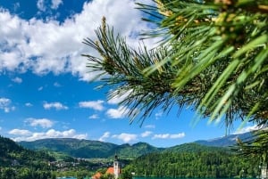 Bled: Tour privato in bicicletta del Lago di Bled e del Parco Nazionale del Triglav