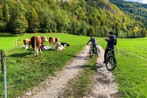 Bled: Tour privato in bicicletta del Lago di Bled e del Parco Nazionale del Triglav