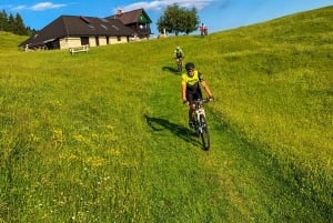 Bled: Tour privato in bicicletta del Lago di Bled e del Parco Nazionale del Triglav