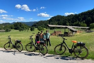 Bled eBike Tour