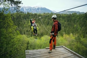 Bled: la tirolina más larga de Europa sobre el río Dolinka.