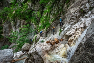 Bled: Sagolik Via Ferrata-väg