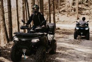 Bled: Full-Day Quad Rental