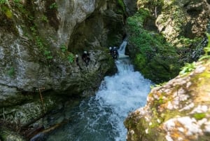 Блед: экскурсия по каньону с гидом и транспортом