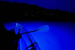 Bled: Guided Kayaking Tour in a Transparent Kayak