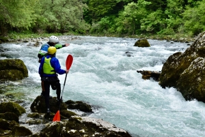 Bled: wyprawa kajakowa po rzece Sawie