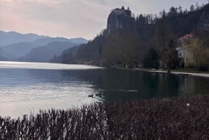 Bled: visita guiada a pie por el lago de Bled con tarta de crema