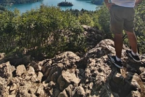 Excursión de un día al lago Bled desde Liubliana