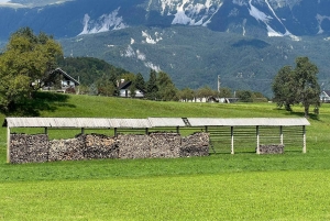 Bled: Maastopyörän vuokraus