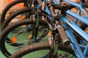 Блед: прокат горных велосипедов