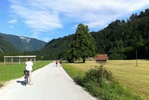 Bled: Uthyrning av mountainbike