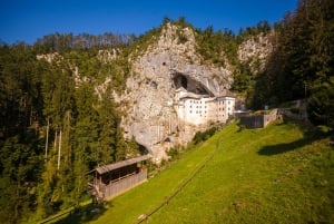 Ljubljana: Karst & Coast Full-Day Trip