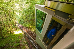 Ljubljana: Karst & Coast Full-Day Trip