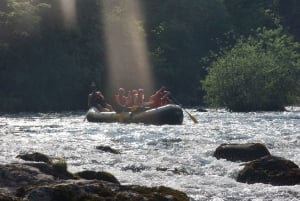 Bledsjøen: Raftingopplevelse på elven Sava med henting på hotellet