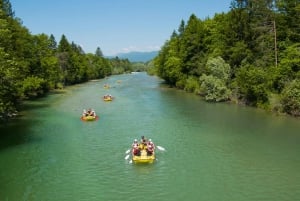 Bled: Rafting i elven Sava