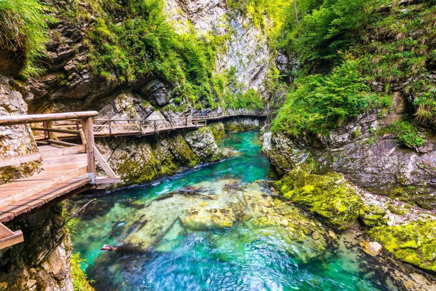 Bled: Vintgar Gorge Best Experience and Food Tasting