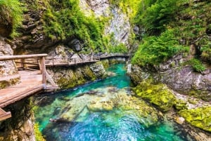 Bled : Les gorges de Vintgar : meilleure expérience et dégustation de nourriture
