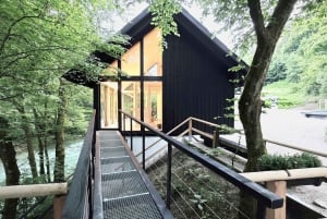 Bled Winter Trip: Vintgar Gorge Waterfall & Slovenian Lunch