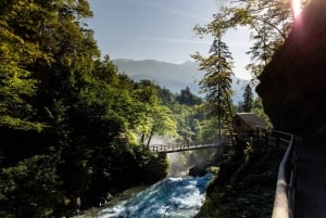 Bled Winter Trip: Vintgar Gorge Waterfall & Slovenian Lunch